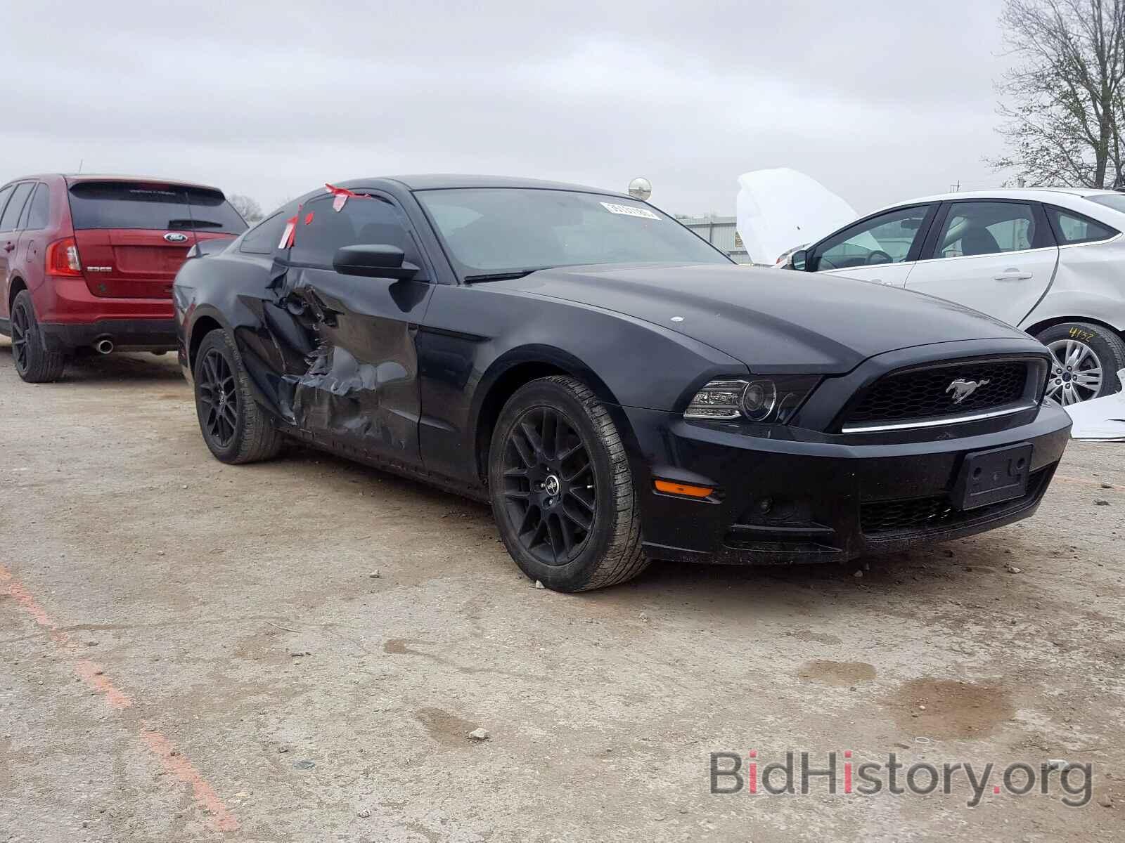 Photo 1ZVBP8AM7E5291401 - FORD MUSTANG 2014