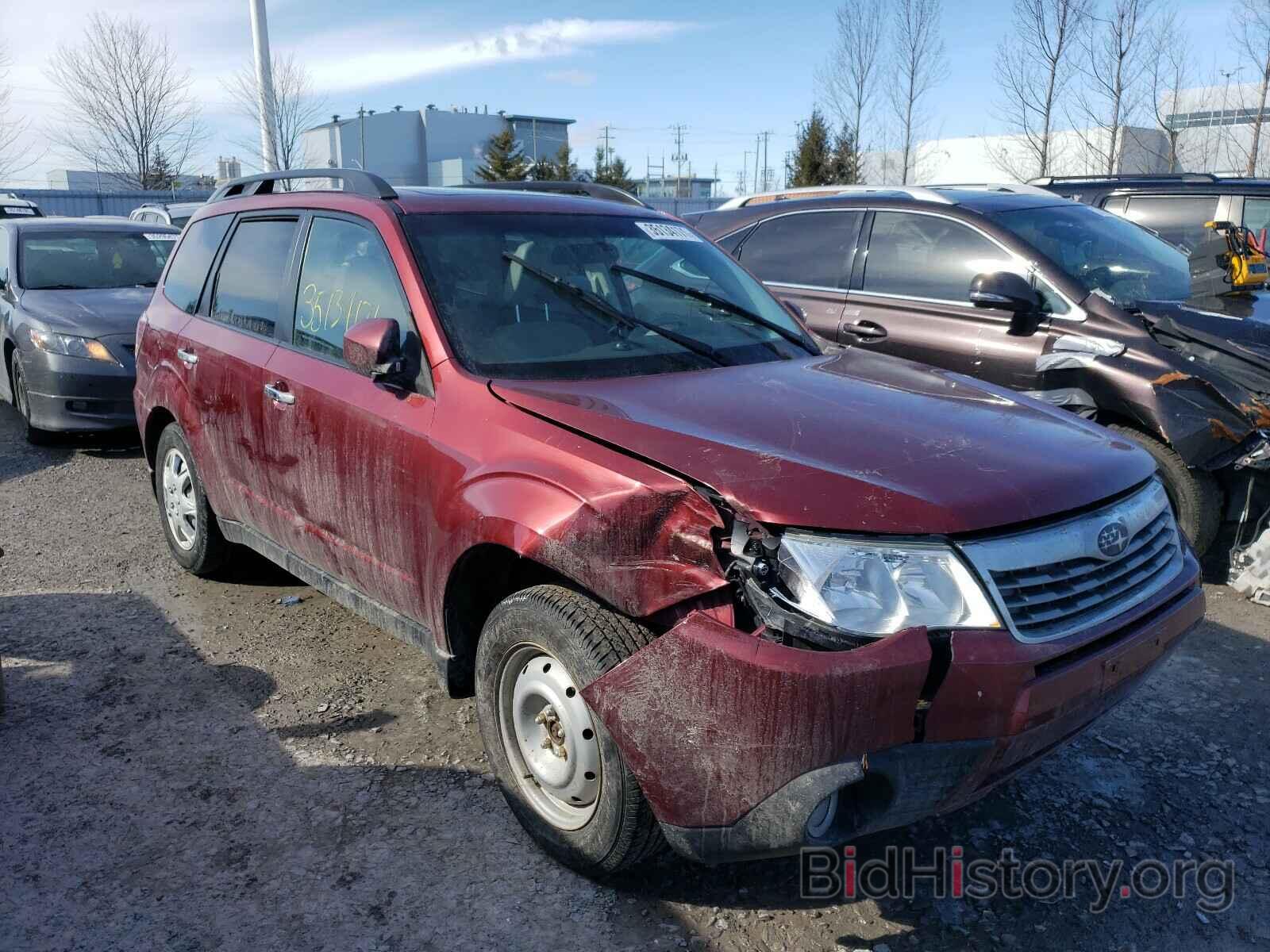 Photo JF2SH64699H782883 - SUBARU FORESTER 2009