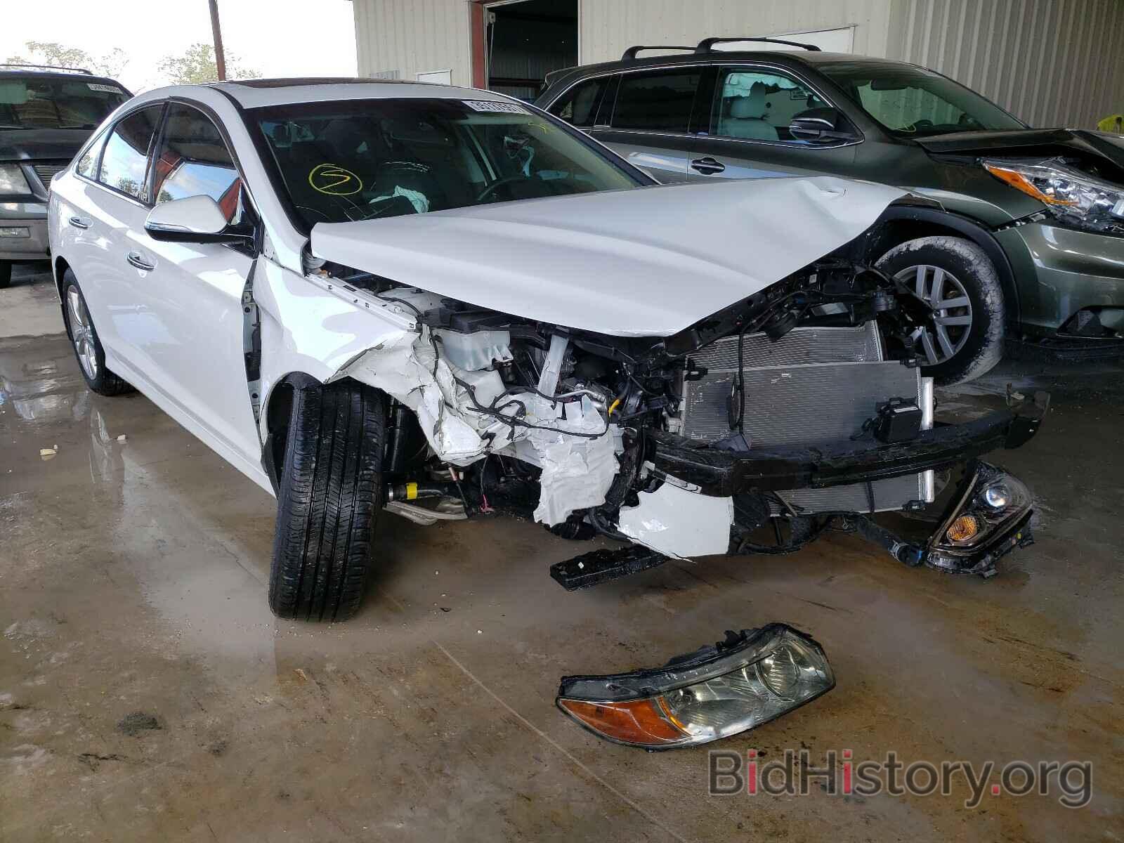 Photo 5NPE34AF6KH792443 - HYUNDAI SONATA 2019