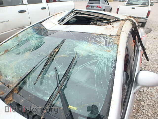 2007 MITSUBISHI ECLIPSE - VIN: 4A3AK64F97E067268 - Фото 10