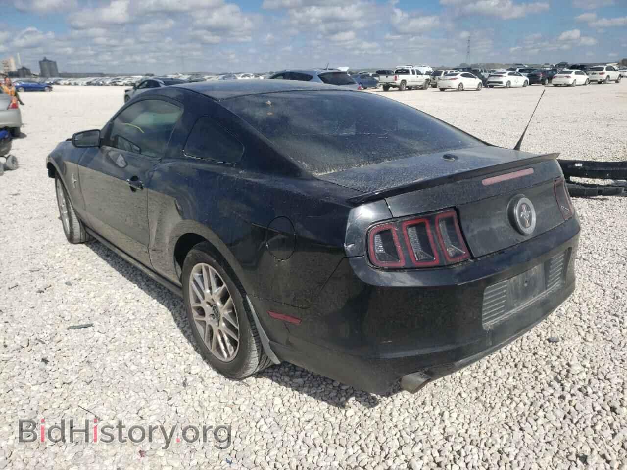 2014 FORD MUSTANG - VIN: 1ZVBP8AM2E5237682 - Фото 3