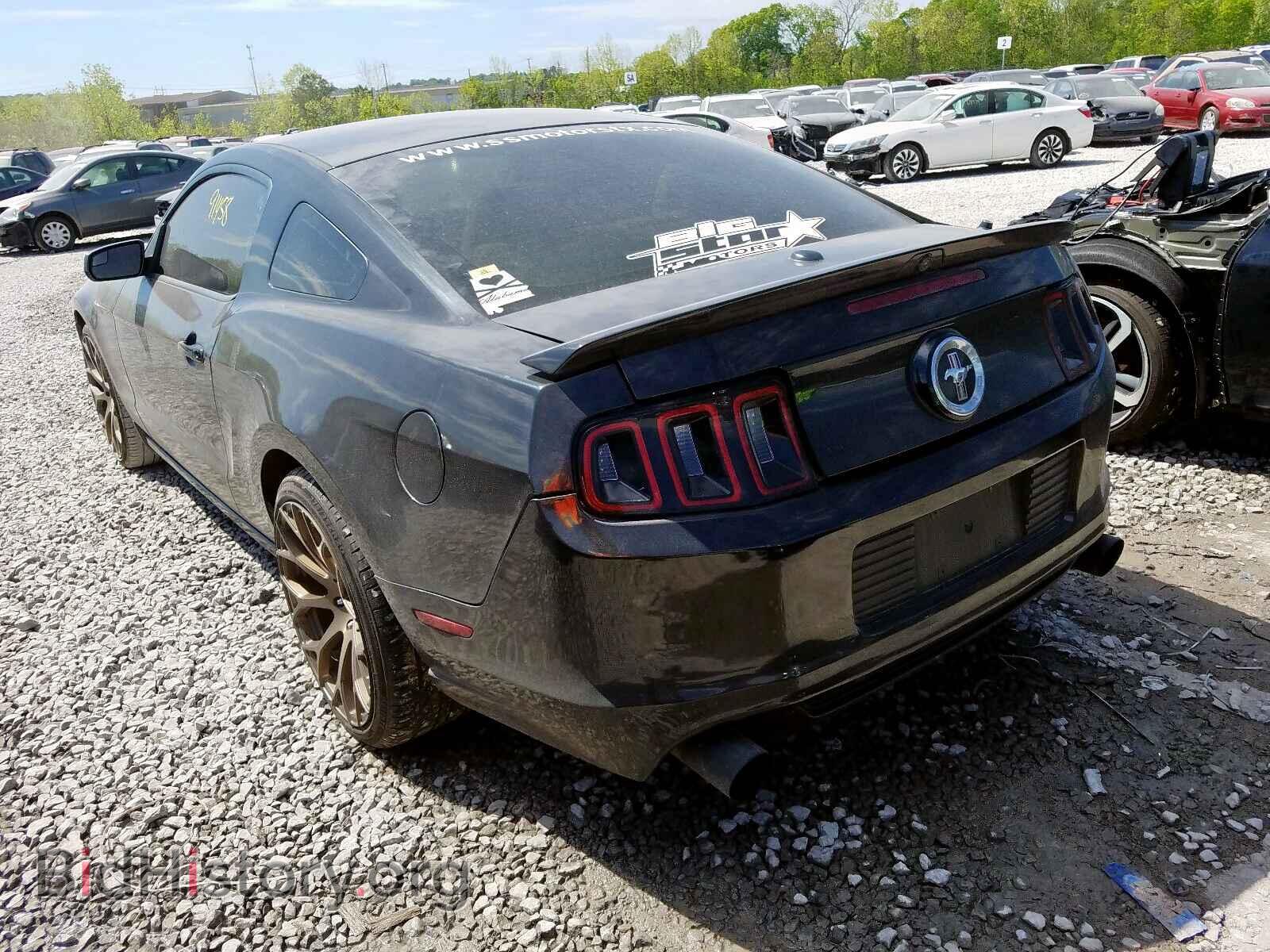 2014 FORD MUSTANG - VIN: 1ZVBP8CF8E5229097 - Фото 3
