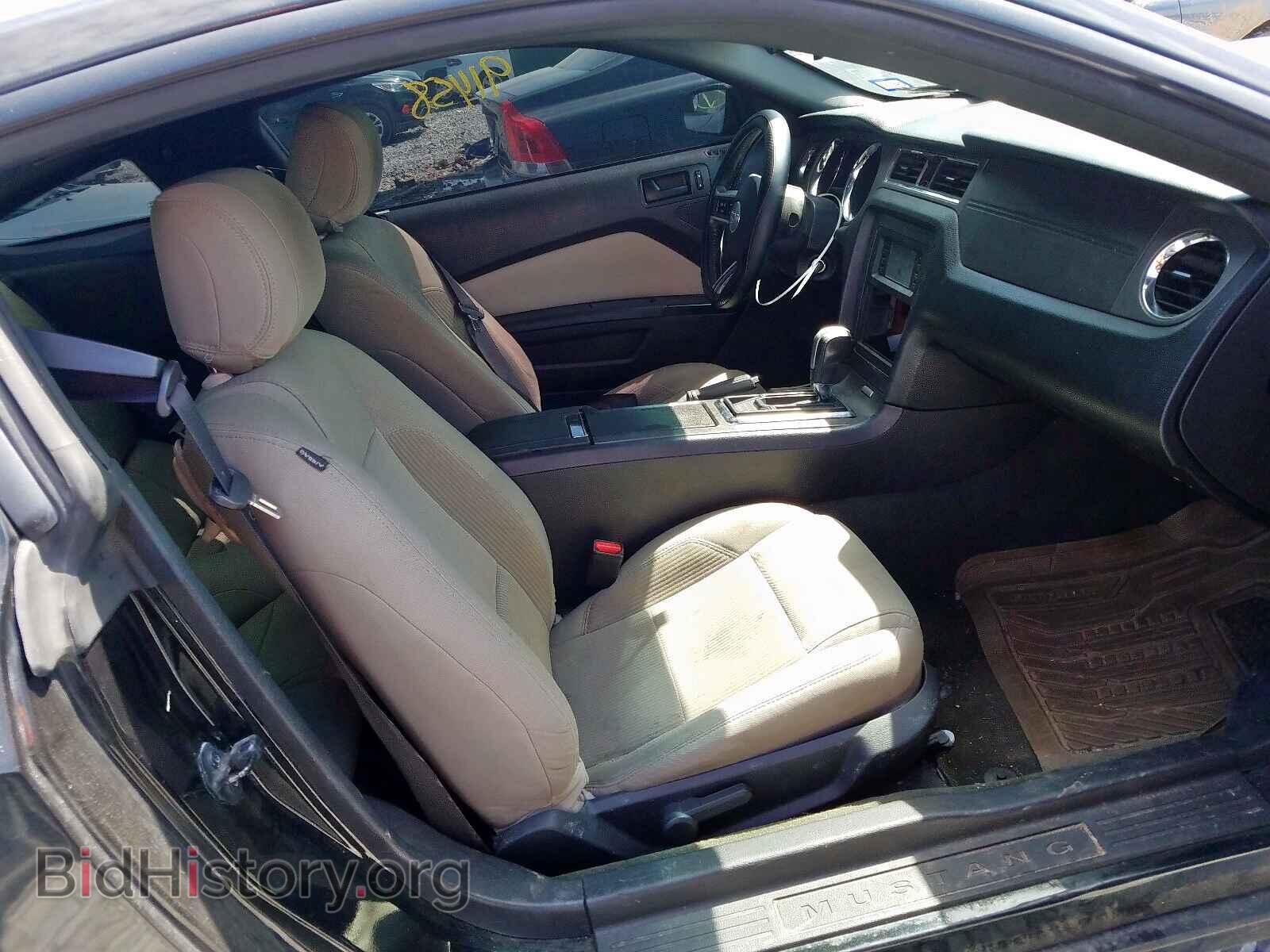 2014 FORD MUSTANG - VIN: 1ZVBP8CF8E5229097 - Фото 5