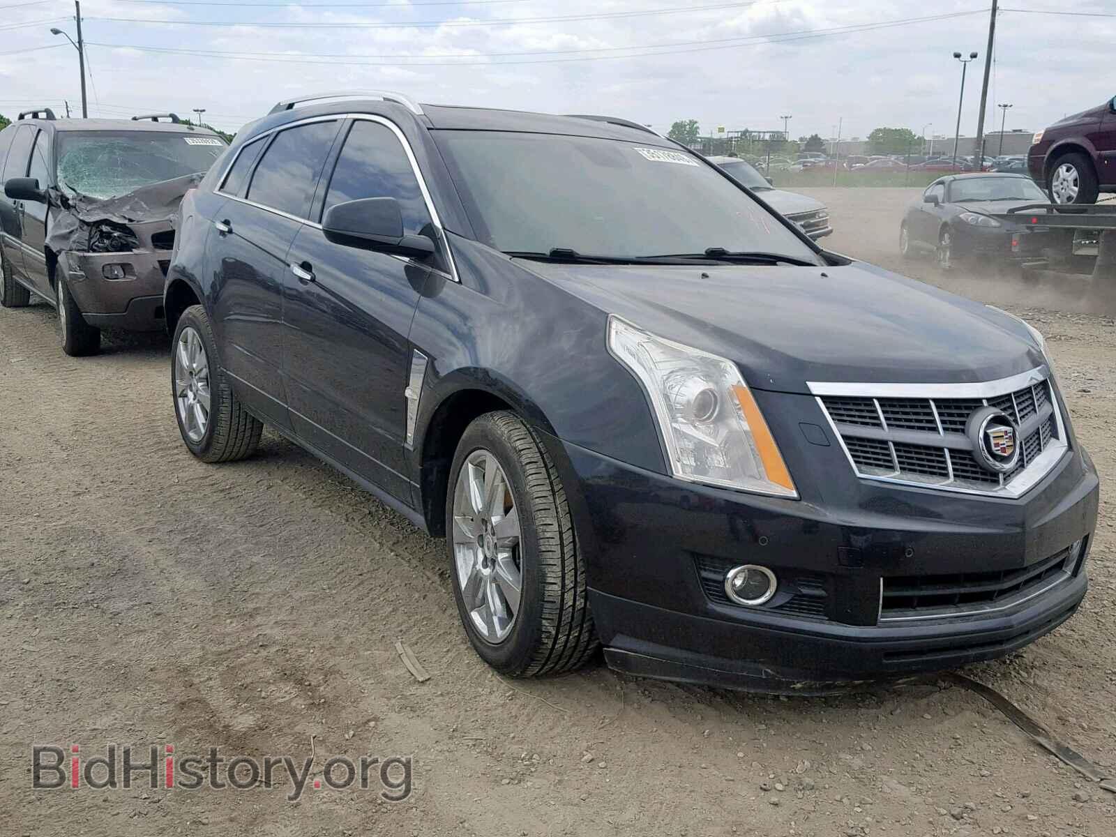 Фотография 3GYFNBEY6BS646574 - CADILLAC SRX PERFOR 2011