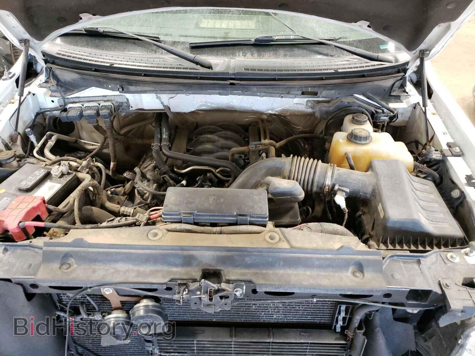 2013 FORD F150 - VIN: 1FTFX1EF4DFD69004 - Фото 7