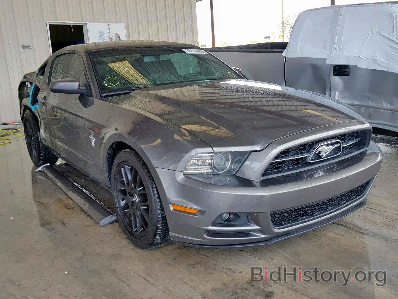Photo 1ZVBP8AM4E5325259 - FORD MUSTANG 2014