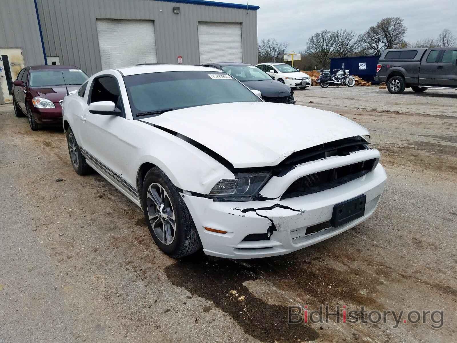 Photo 1ZVBP8AM7E5201907 - FORD MUSTANG 2014