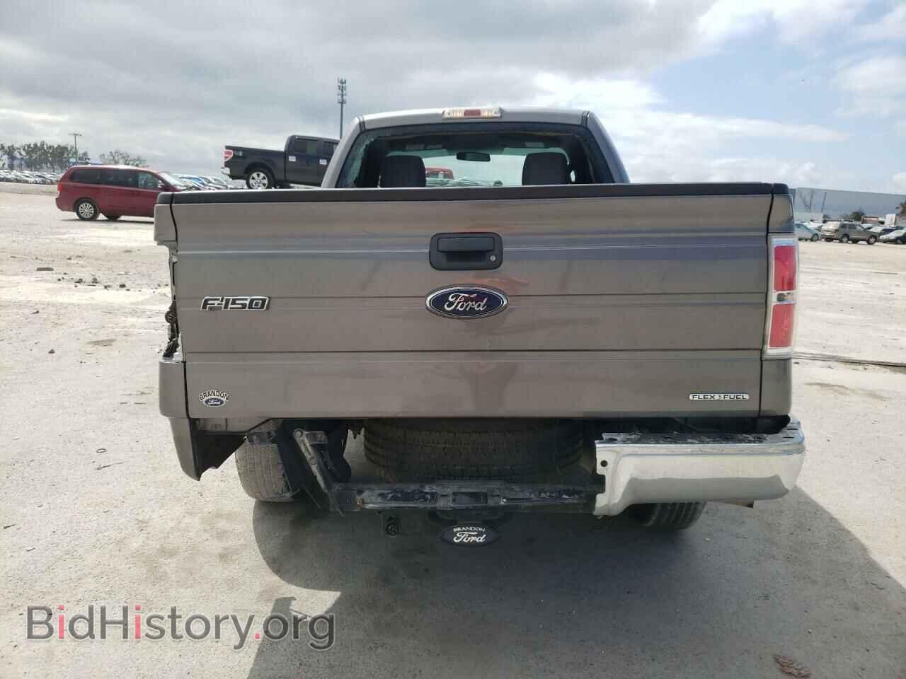 2013 FORD F150 - VIN: 1FTMF1CM3DFD00946 - Фото 6