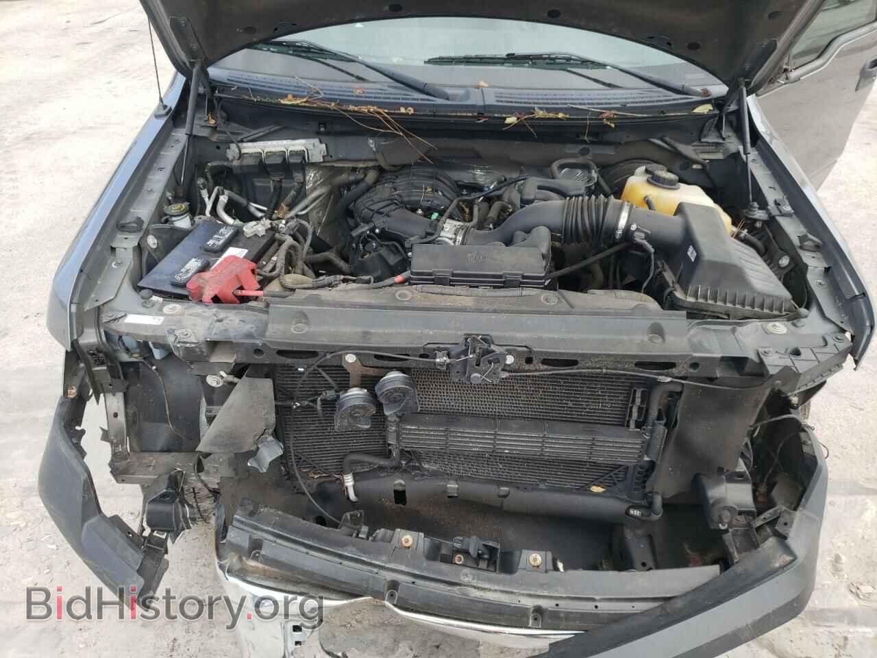 2013 FORD F150 - VIN: 1FTMF1CM3DFD00946 - Фото 7