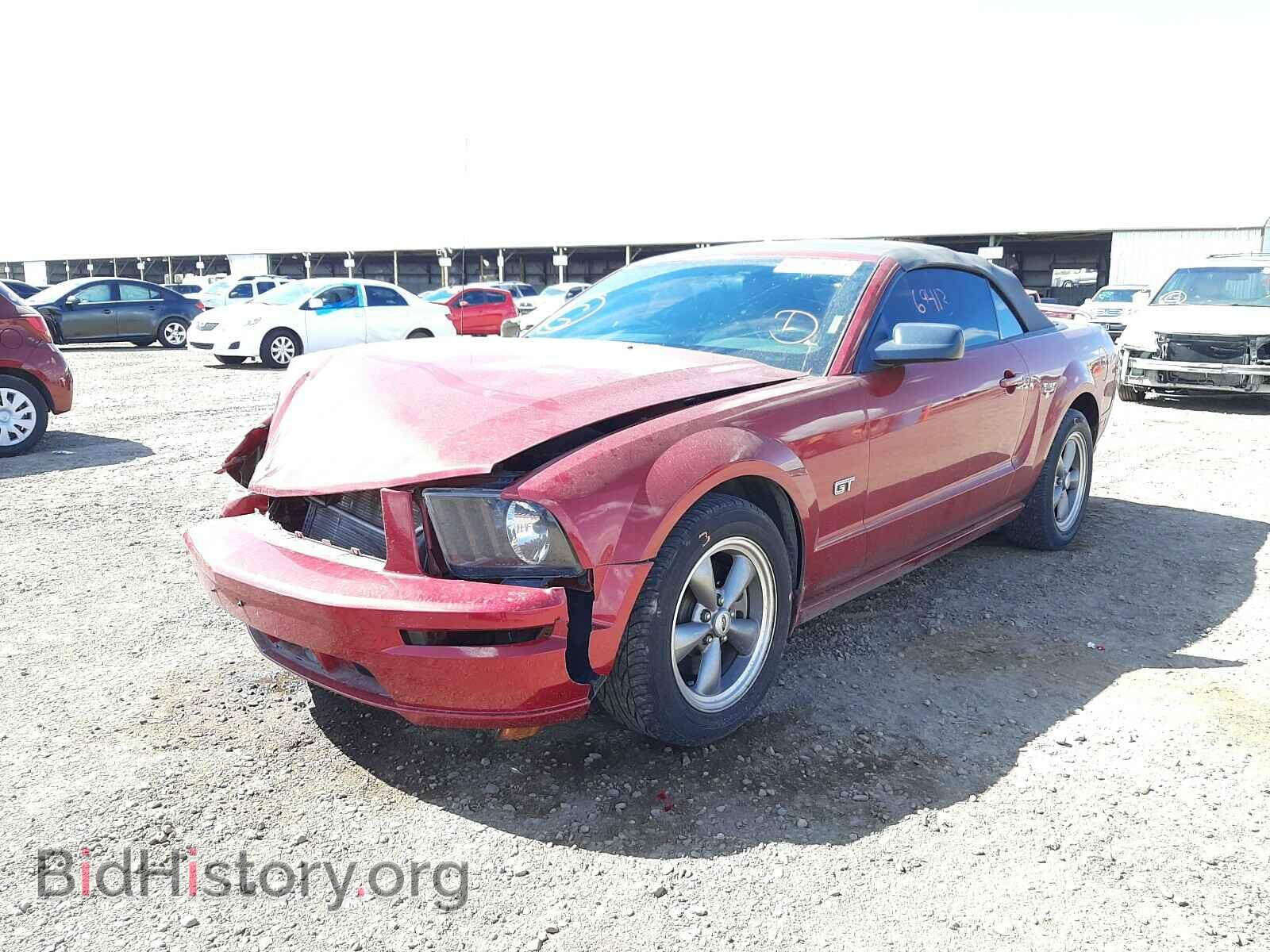 2006 FORD MUSTANG - VIN: 1ZVFT85H965120421 - Фото 2