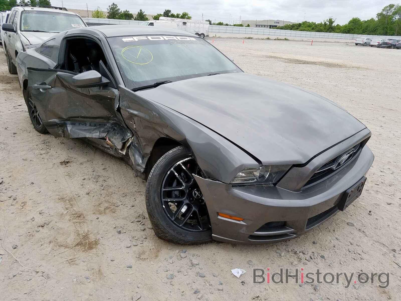 Photo 1ZVBP8AM5D5250733 - FORD MUSTANG 2013