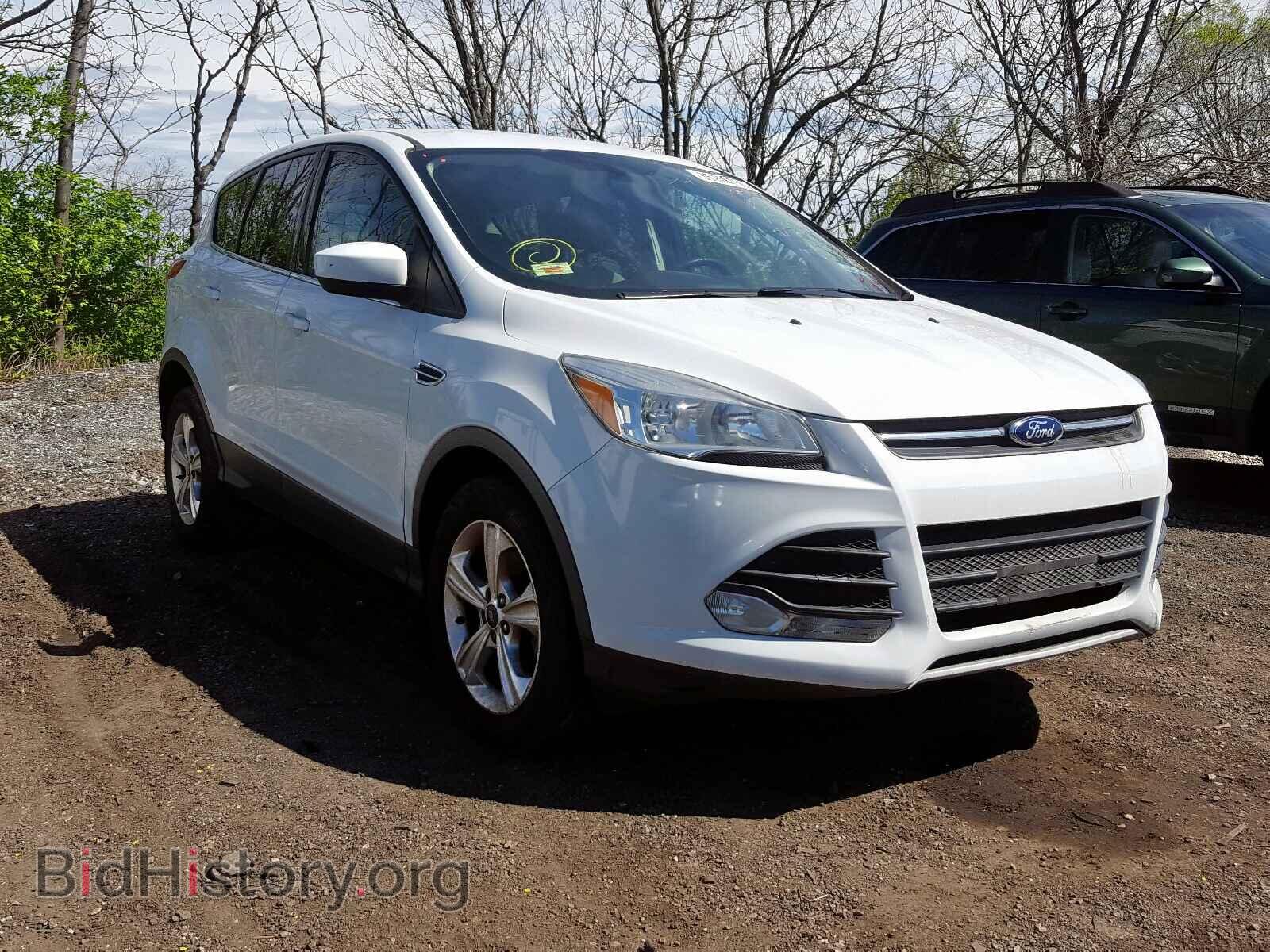 Фотография 1FMCU0GX8DUB25603 - FORD ESCAPE 2013