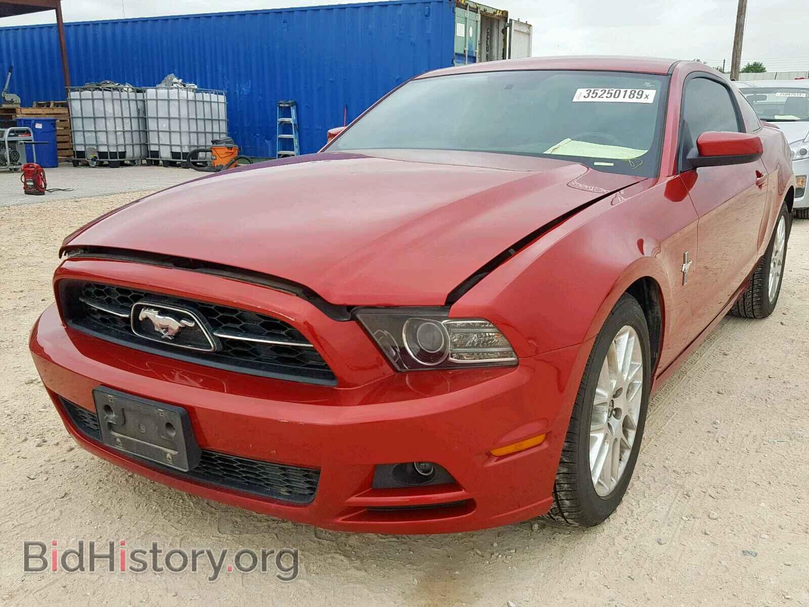 2013 FORD MUSTANG - VIN: 1ZVBP8AM4D5262209 - Фото 2