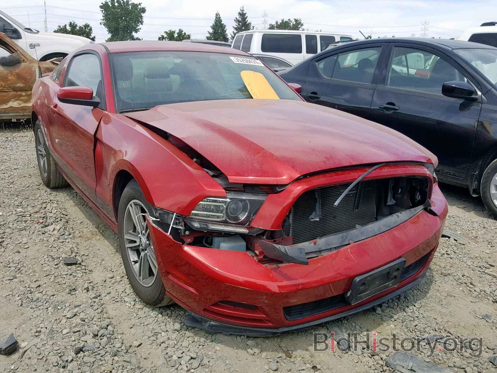 Photo 1ZVBP8AM7D5217345 - FORD MUSTANG 2013