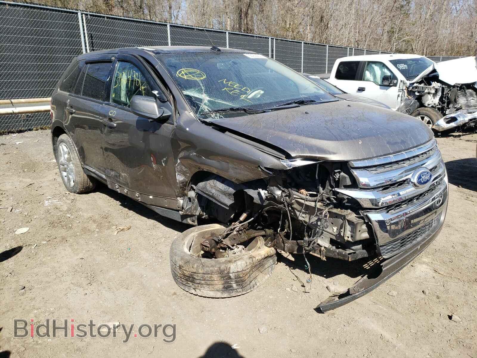 Фотография 2FMDK4JC3DBA20979 - FORD EDGE 2013