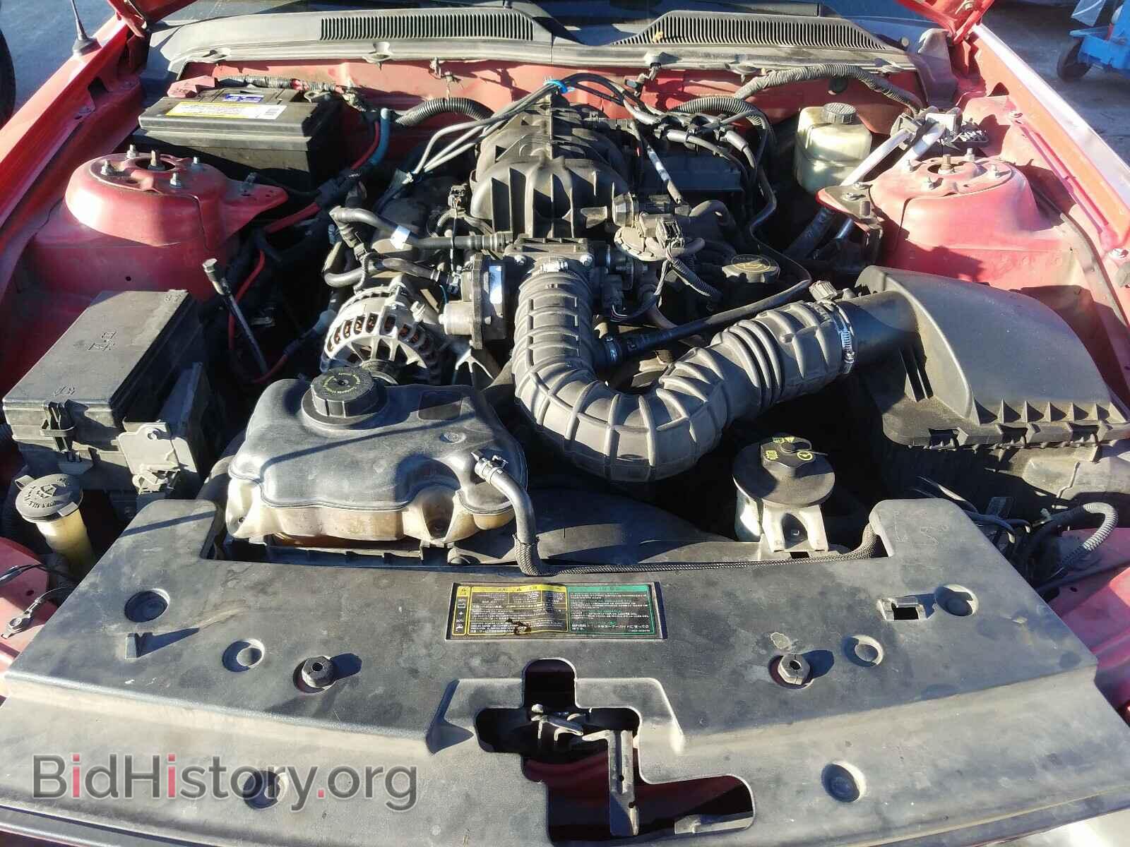 2006 FORD MUSTANG - VIN: 1ZVFT84N065104857 - Фото 7