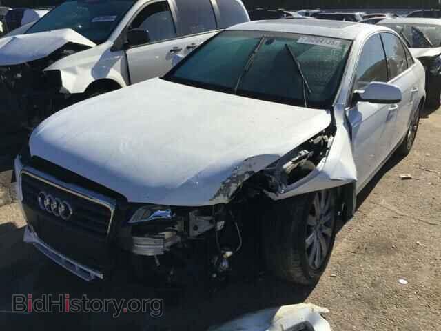2010 AUDI A4 - VIN: WAUEFAFL7AN024647 - Фото 2