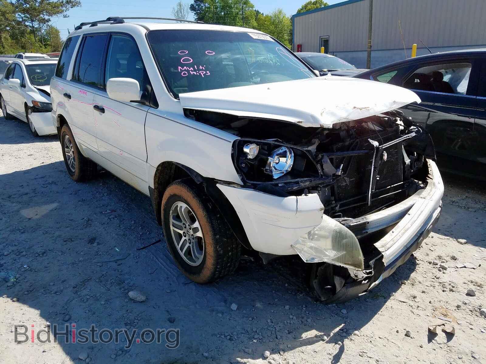 Photo 5FNYF18555B012998 - HONDA PILOT 2005