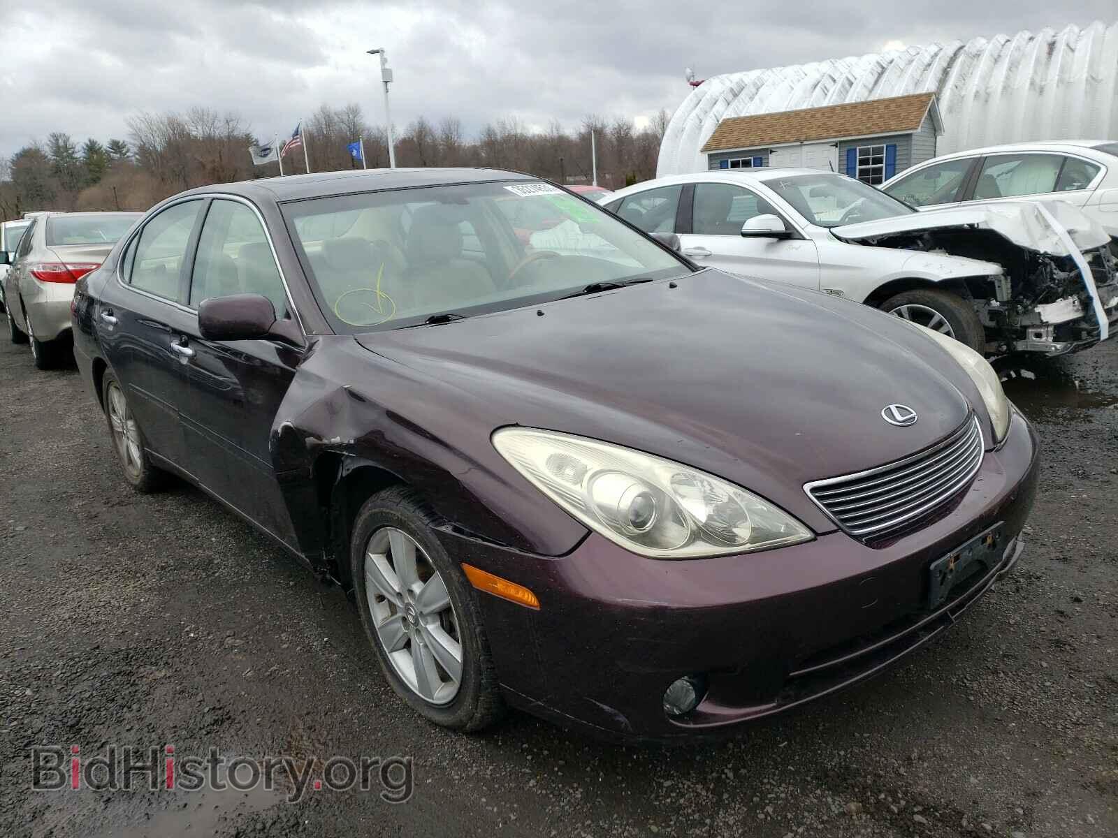 Фотография JTHBA30G865165339 - LEXUS ES330 2006