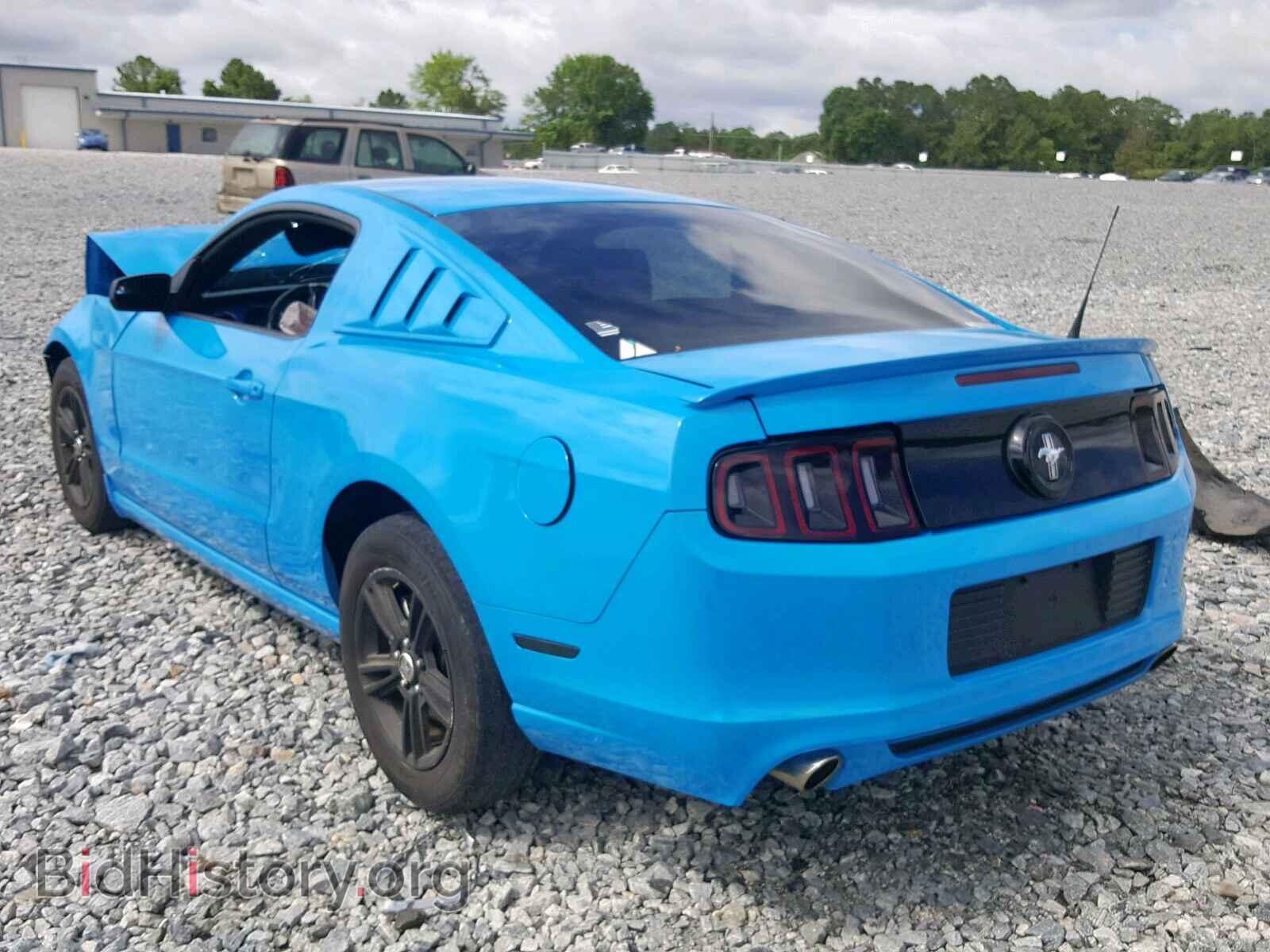2014 FORD MUSTANG - VIN: 1ZVBP8AM8E5259105 - Фото 3