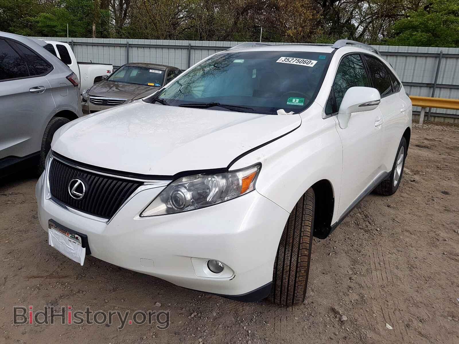 2010 LEXUS RX350 - VIN: 2T2BK1BA8AC044491 - Фото 2
