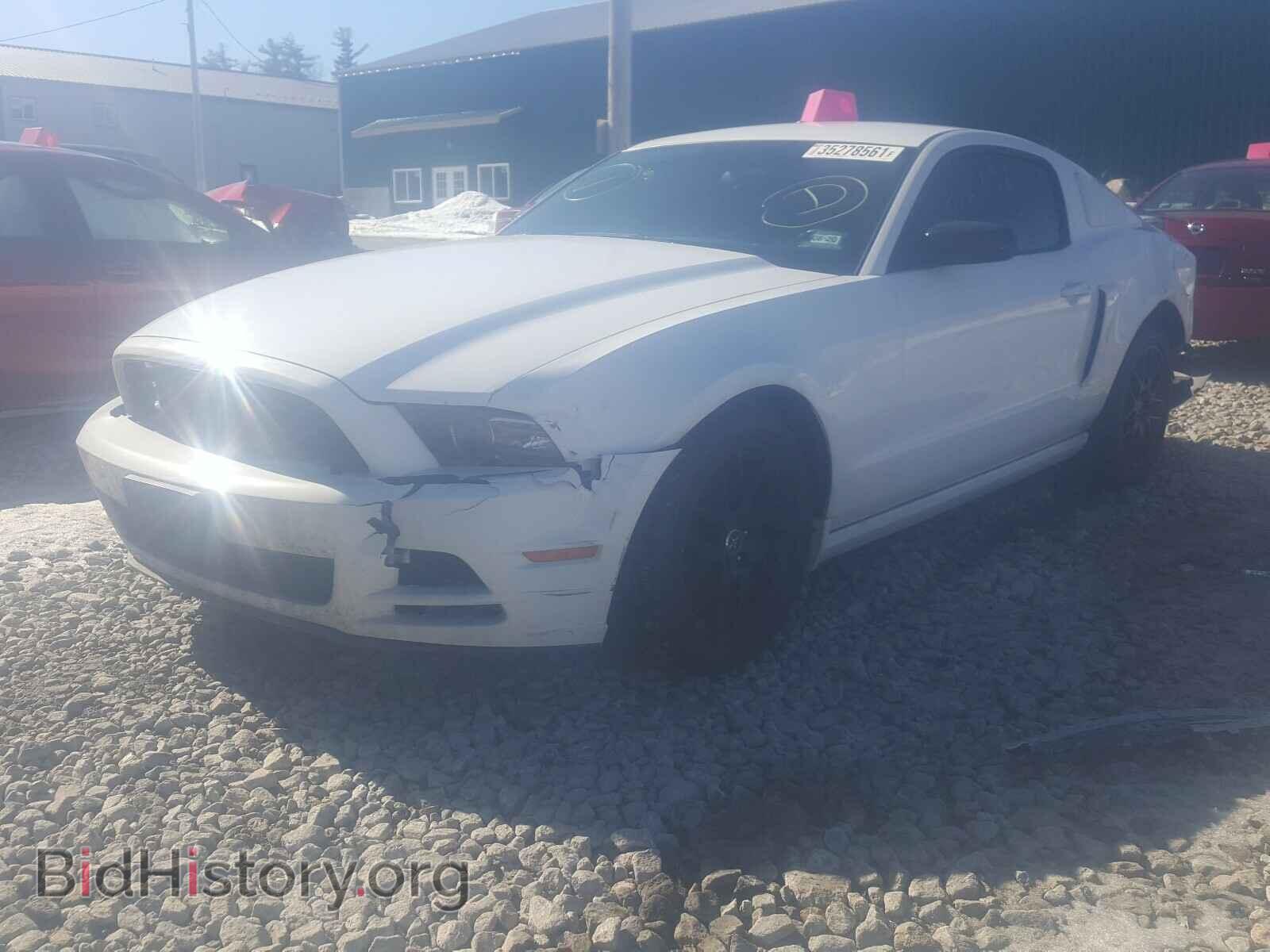 2014 FORD MUSTANG - VIN: 1ZVBP8AM1E5255641 - Фото 2