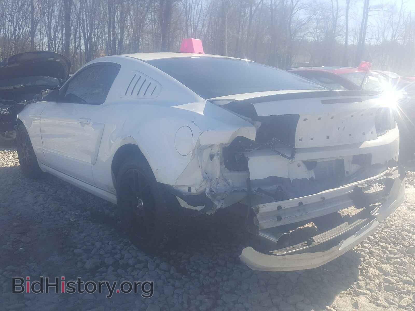 2014 FORD MUSTANG - VIN: 1ZVBP8AM1E5255641 - Фото 3