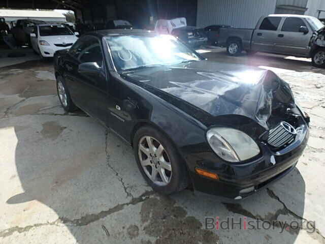 Photo WDBKK47F8XF122812 - MERCEDES-BENZ SLK230 1999