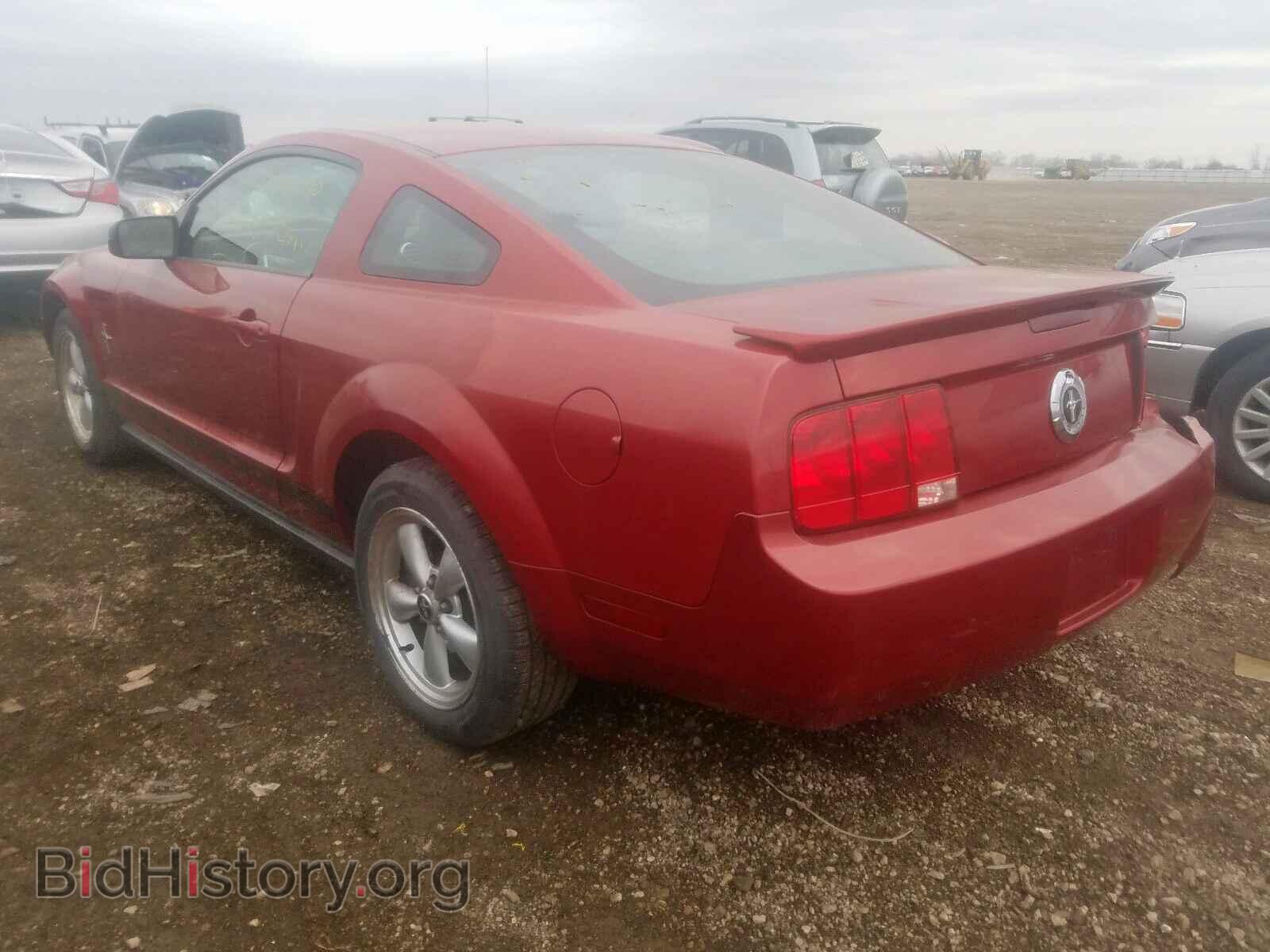 2007 FORD MUSTANG - VIN: 1ZVFT80NX75350449 - Фото 3