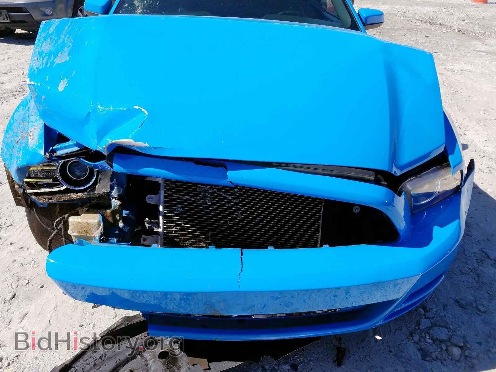 2013 FORD MUSTANG - VIN: 1ZVBP8EM1D5277079 - Фото 7