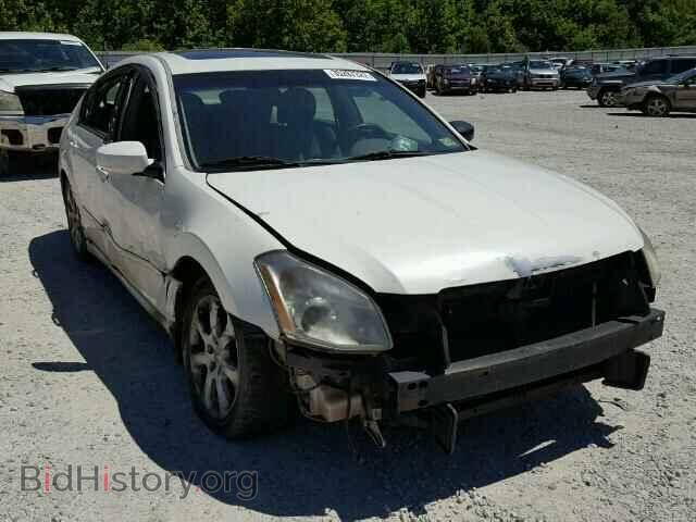 Photo 1N4BA41E17C837507 - NISSAN MAXIMA 2007