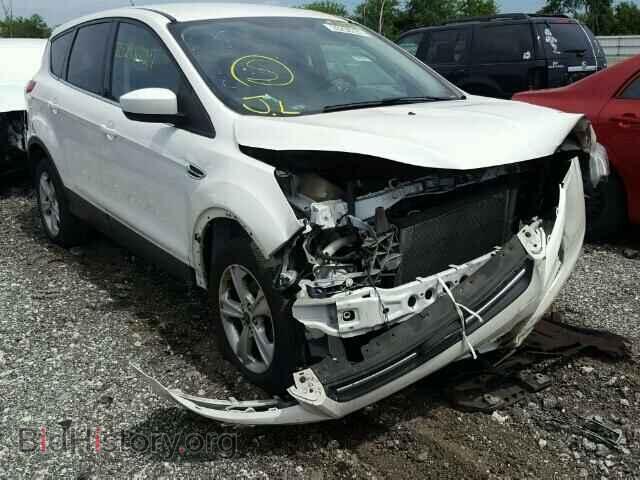 Фотография 1FMCU0GXXDUD33871 - FORD ESCAPE 2013