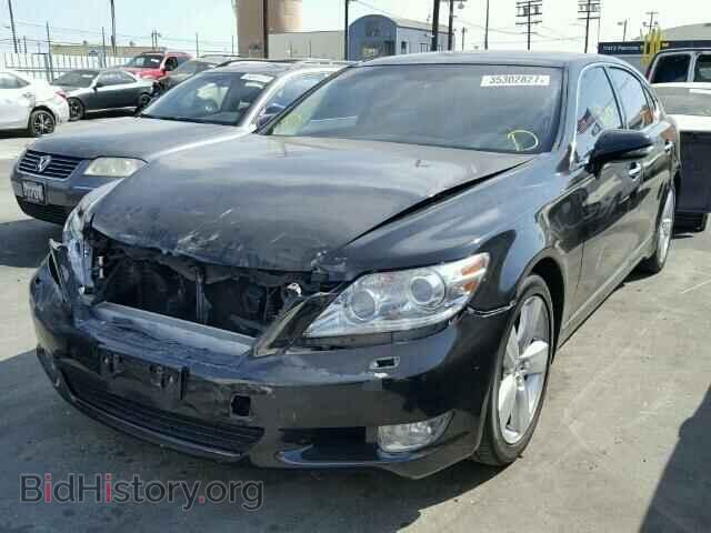 2011 LEXUS LS460 - VIN: JTHGL5EF7B5042976 - Фото 2