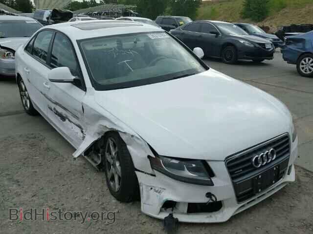 Фотография WAULF78K39N037101 - AUDI A4 2009