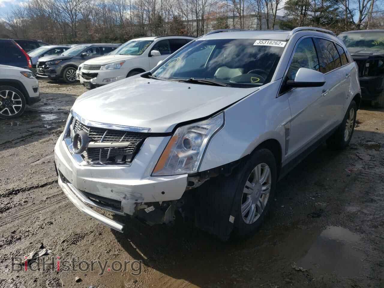2011 CADILLAC SRX - VIN: 3GYFNDEY1BS604969 - Фото 2