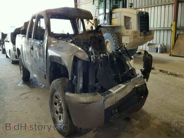 Photo 1GCEC19C88Z317659 - CHEVROLET SILVERADO 2008