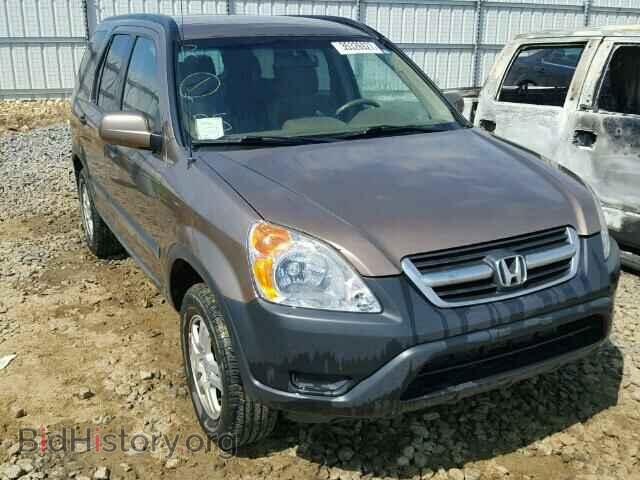 Фотография JHLRD78863C818238 - HONDA CRV 2003