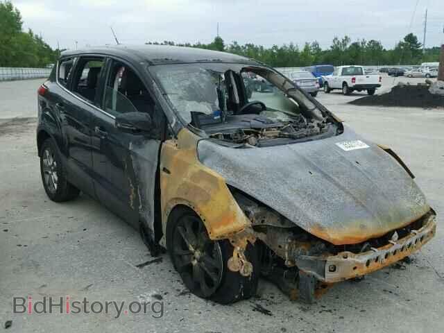 Фотография 1FMCU0HX4DUA48226 - FORD ESCAPE 2013