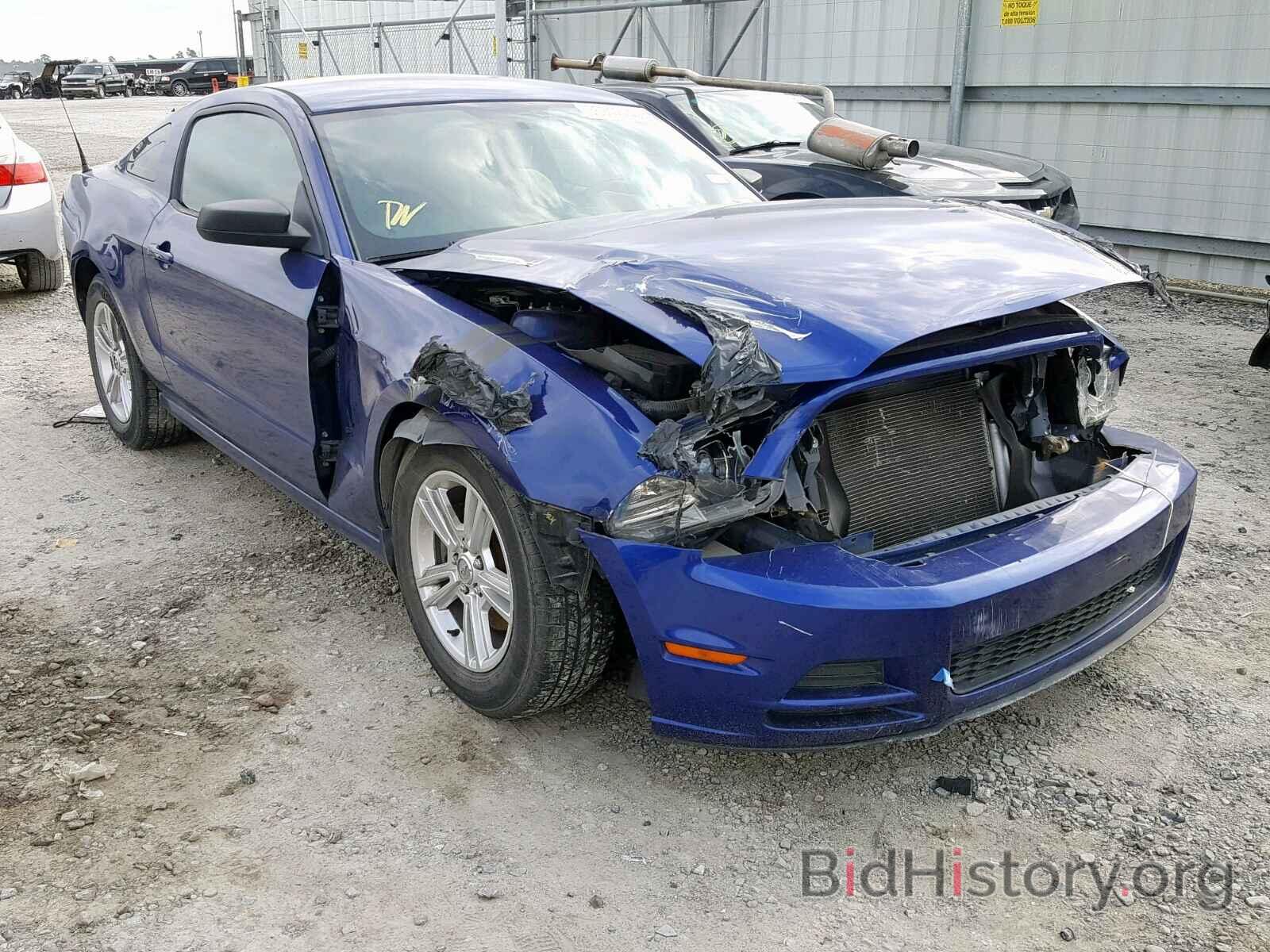 Photo 1ZVBP8AM9D5221221 - FORD MUSTANG 2013