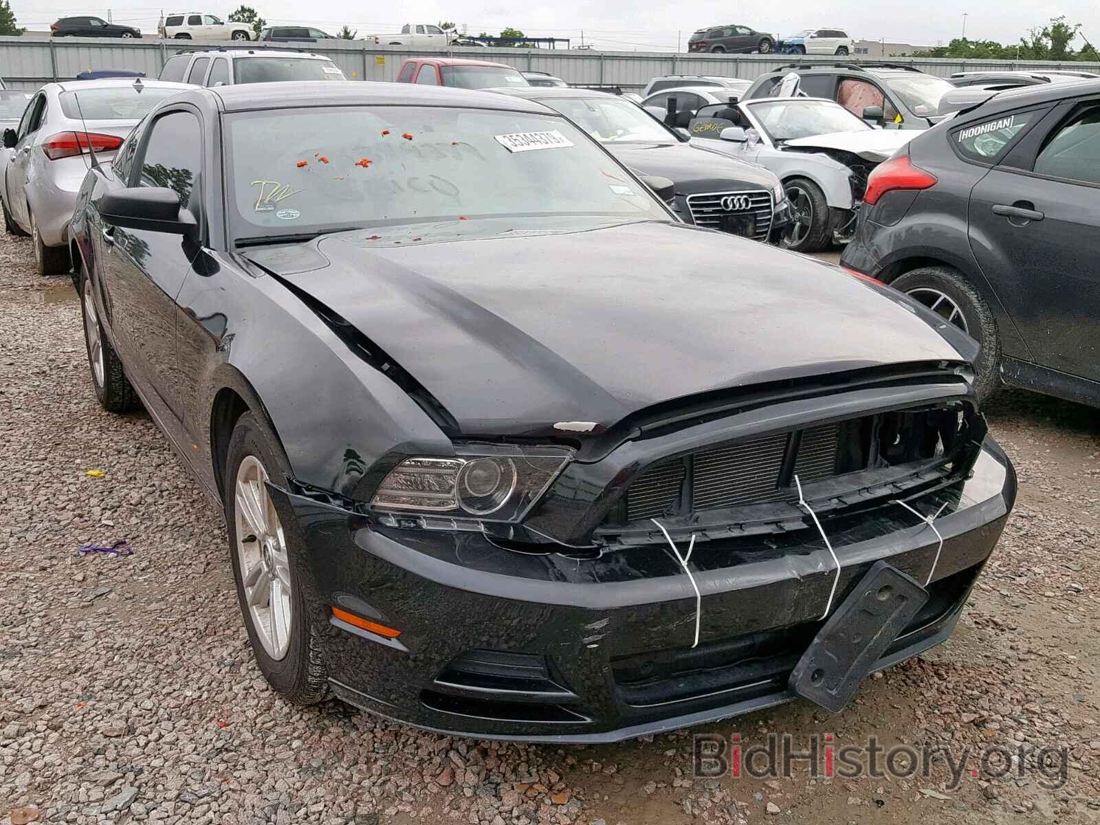 Photo 1ZVBP8AM0D5274700 - FORD MUSTANG 2013