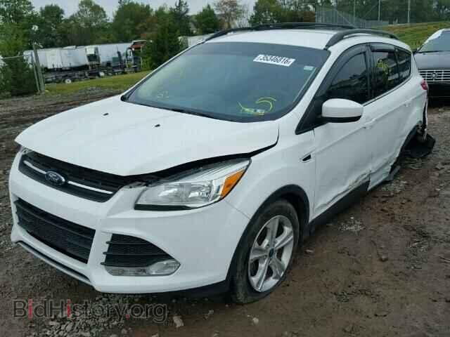 2013 FORD ESCAPE - VIN: 1FMCU0GX9DUC18954 - Фото 2