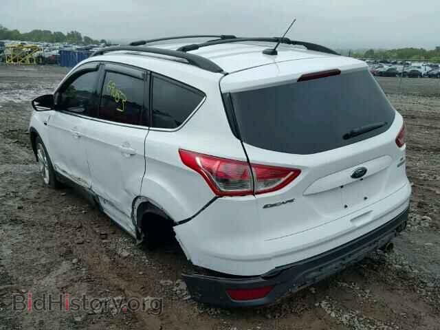 2013 FORD ESCAPE - VIN: 1FMCU0GX9DUC18954 - Фото 3