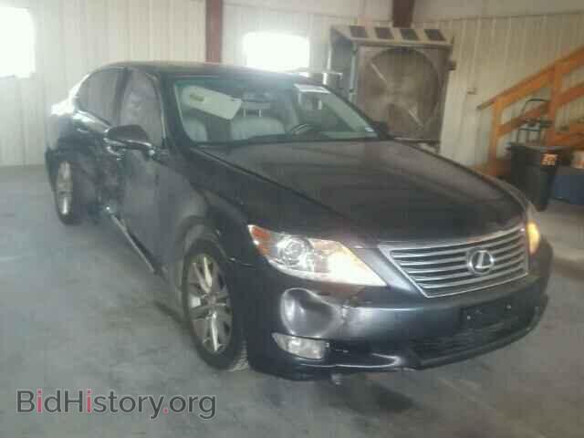 Фотография JTHBL5EF5A5101192 - LEXUS LS460 2010
