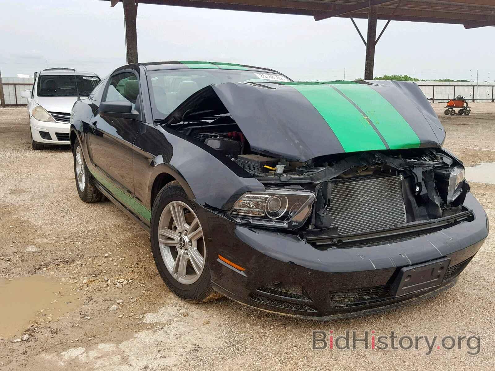 Photo 1ZVBP8AM5D5235892 - FORD MUSTANG 2013