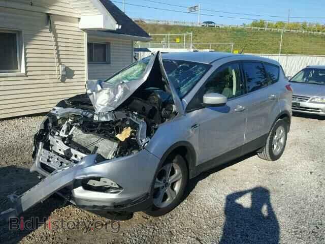 2014 FORD ESCAPE - VIN: 1FMCU9GX2EUE36109 - Фото 2