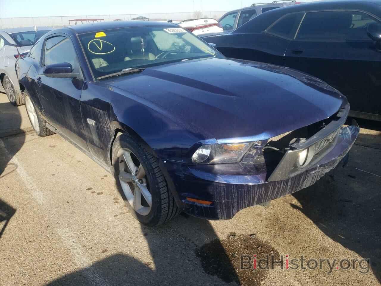 Photo 1ZVBP8CH0A5153614 - FORD MUSTANG 2010