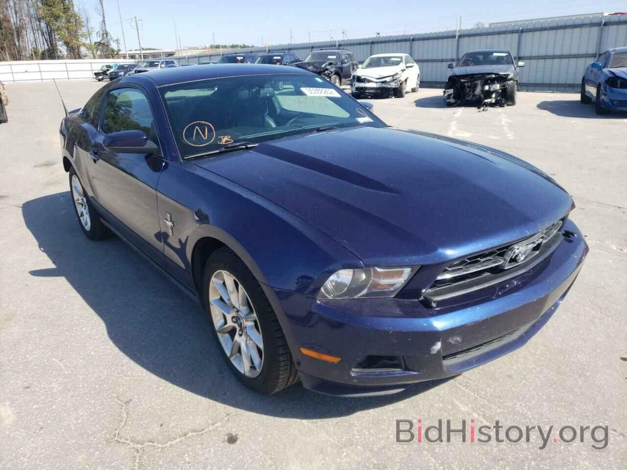 Photo 1ZVBP8AN2A5161755 - FORD MUSTANG 2010