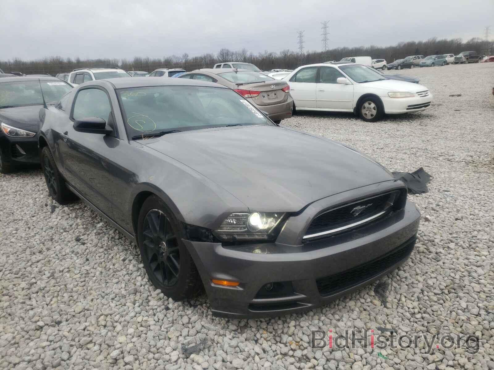Photo 1ZVBP8AM2E5288082 - FORD MUSTANG 2014