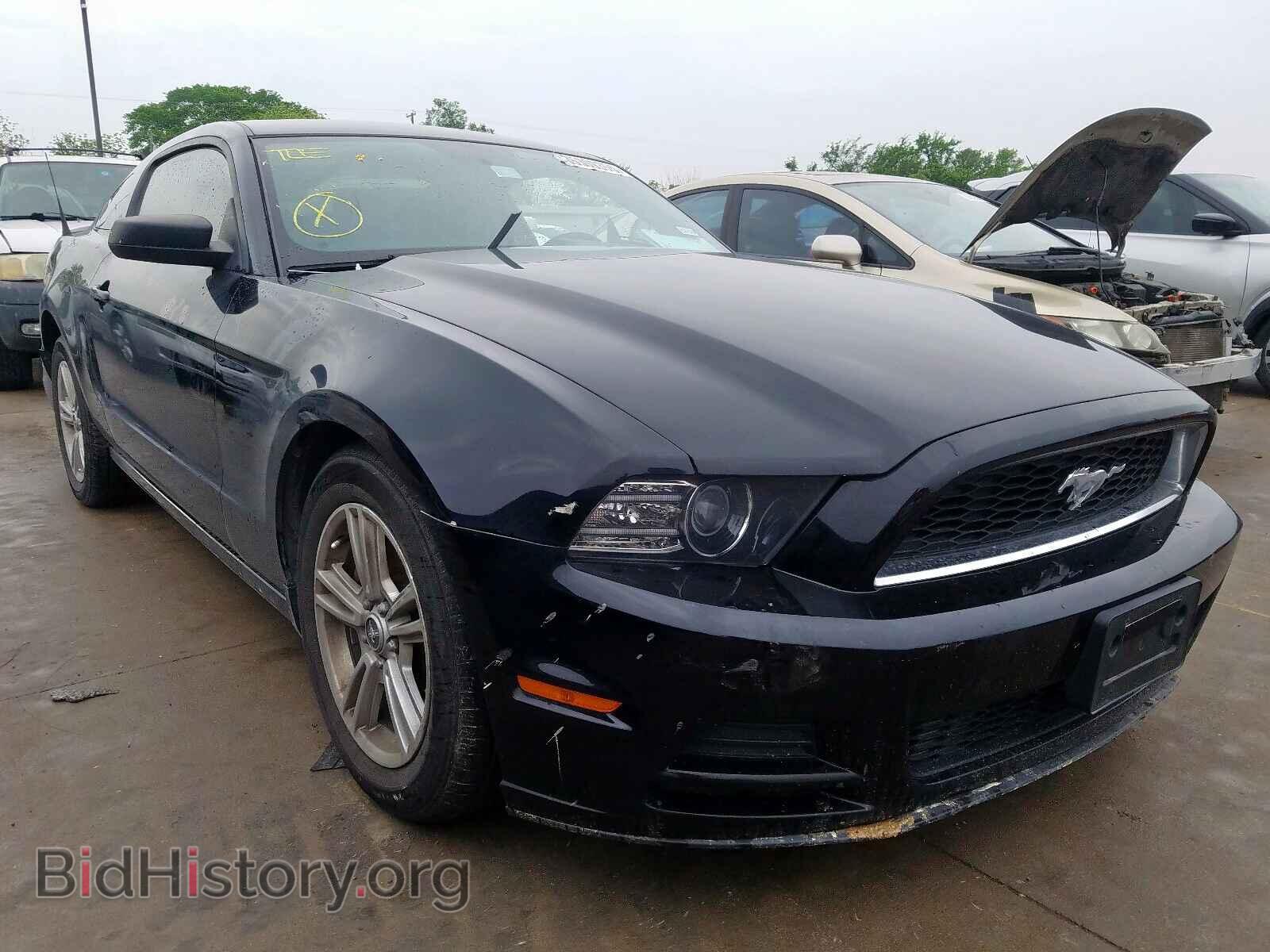 Photo 1ZVBP8AM9E5249411 - FORD MUSTANG 2014