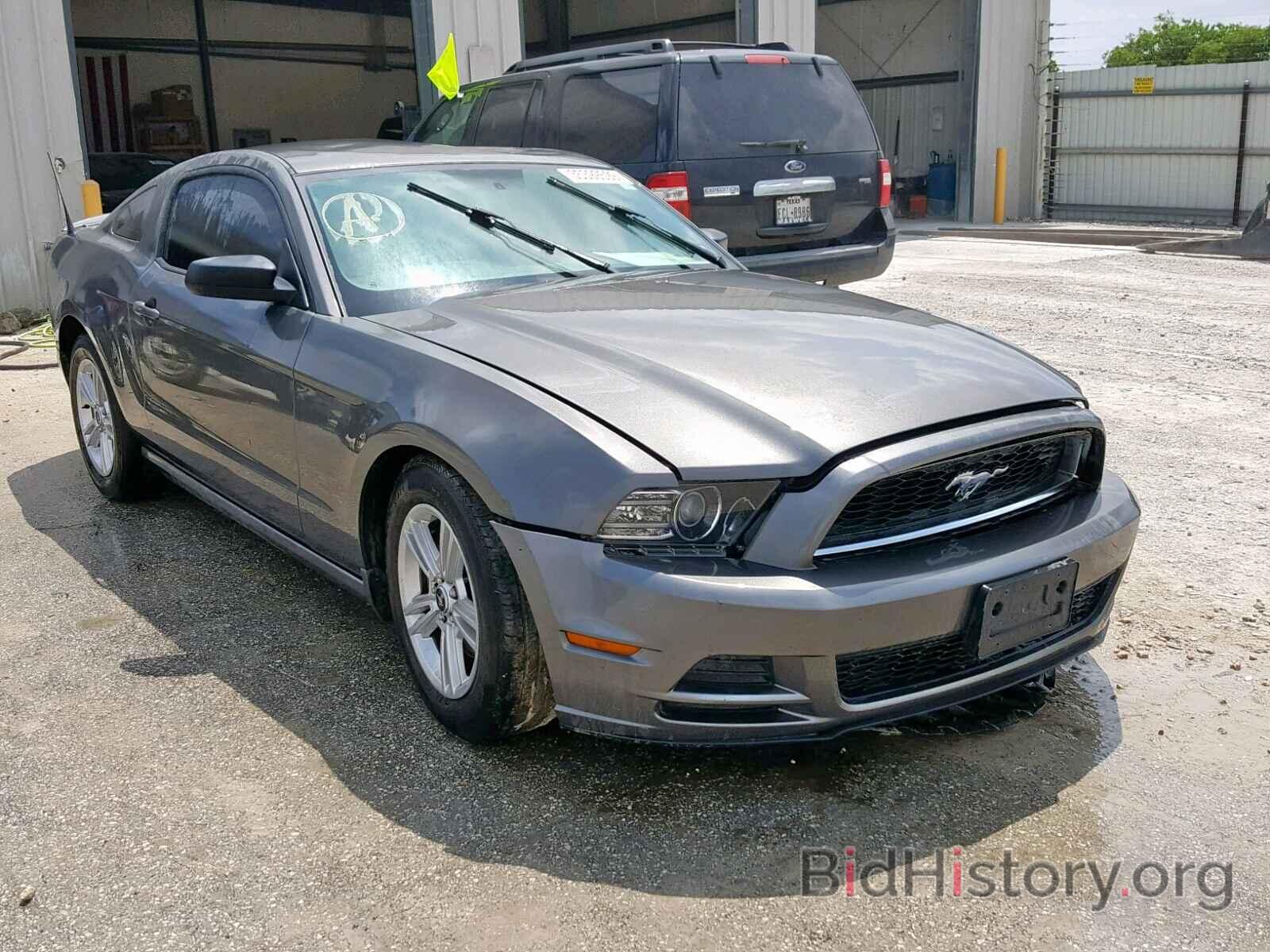 Photo 1ZVBP8AM1D5232200 - FORD MUSTANG 2013